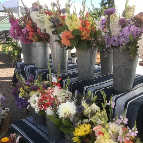 Read more about the article Spring News from the Ag Guild!