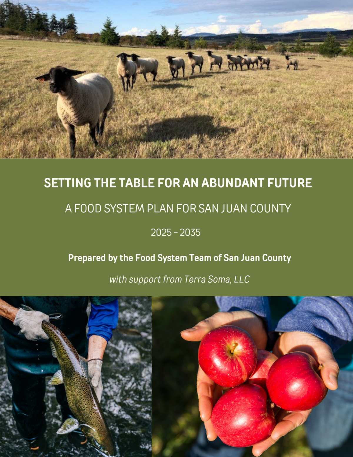 Cover of the Food Systems Plan for San Juan County Report